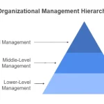 The Unsung Heroes: Why Middle Management is the Engine of Digital Transformation